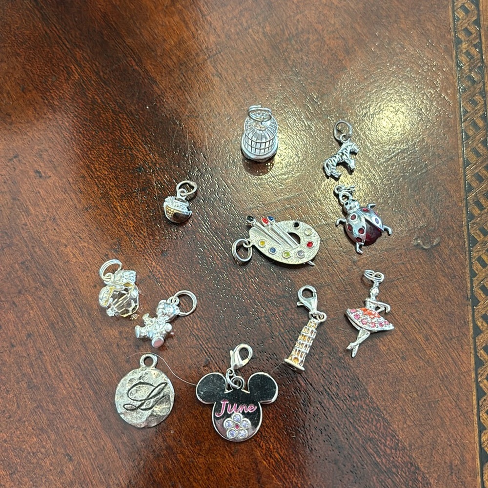 11 charms, all look new